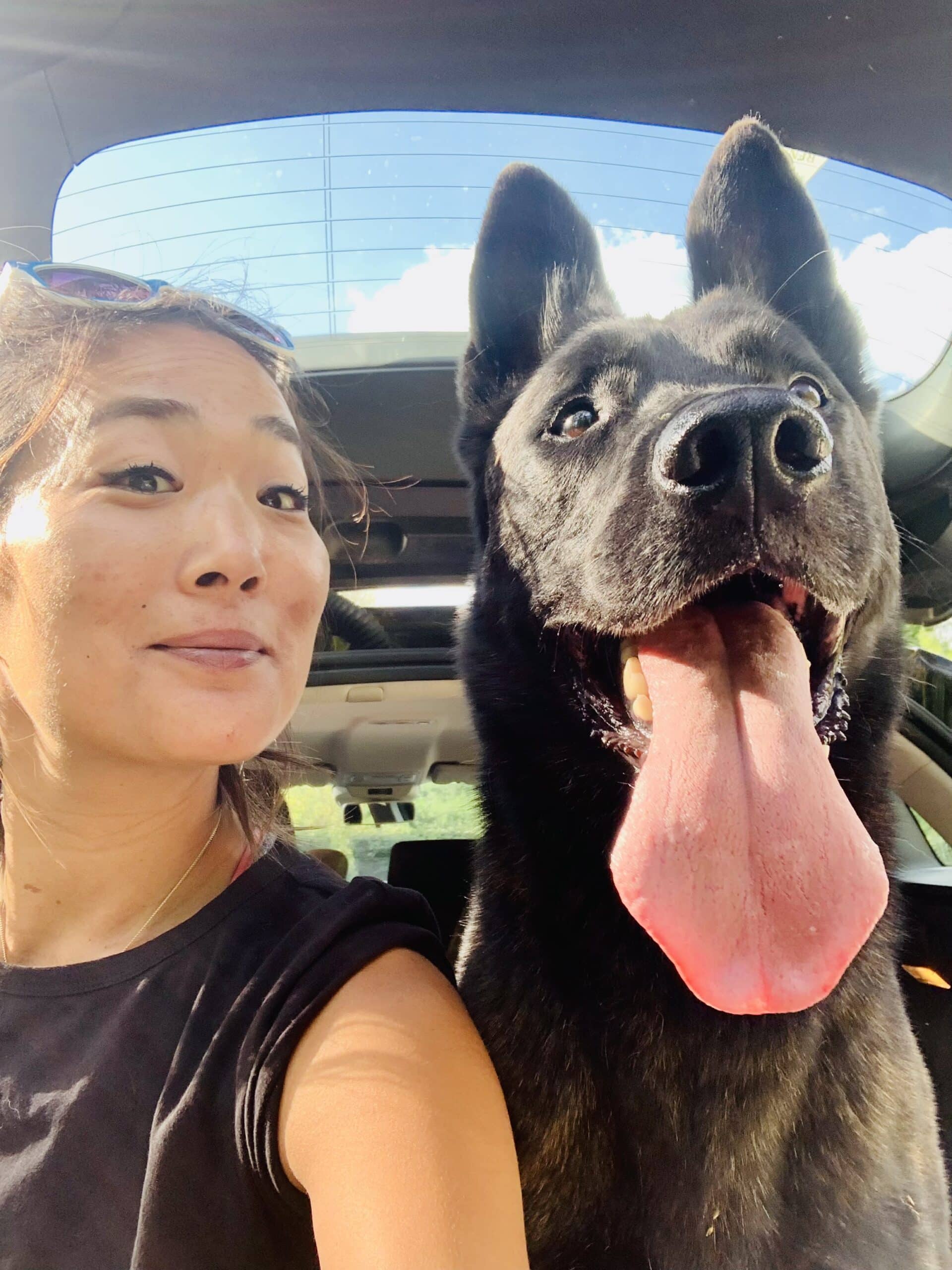 Anne-Lynn Elias Émerveilletoi