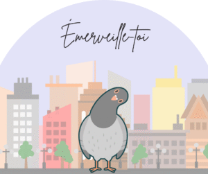 Pigeon des villes expliqués aux enfants