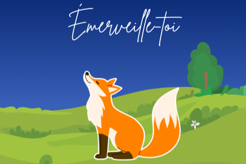 Exposé sur le renard - Émerveille-toi