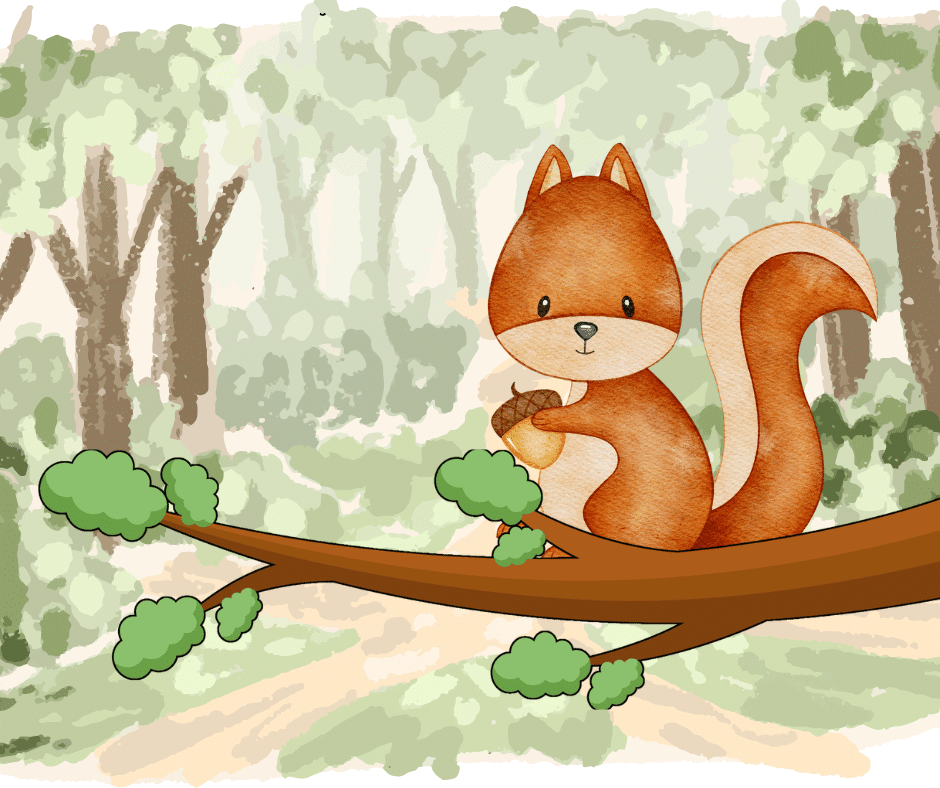 Petit écureuil dans la forêt