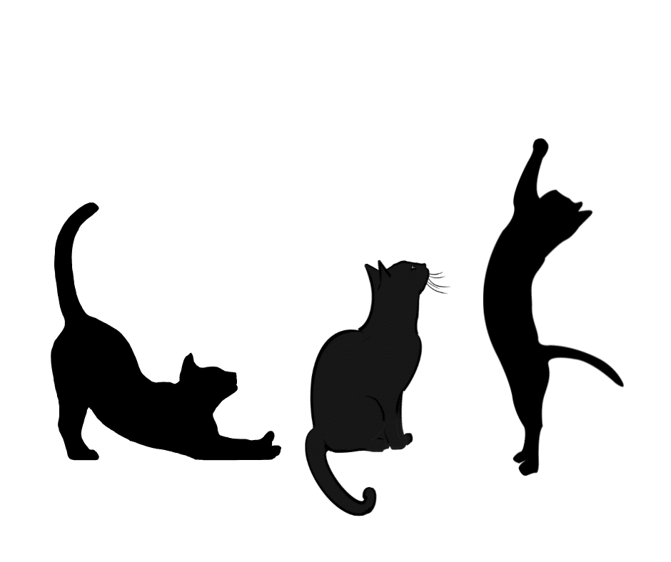 Le chat est l'animal préféré des français