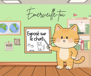Exposé sur le chat